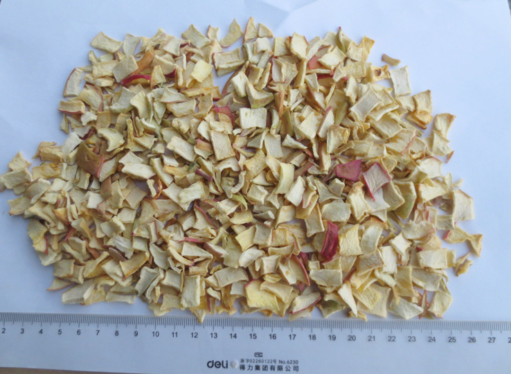 �O(p��ng)������Ƭ